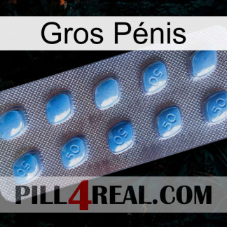 Gros Pénis viagra3